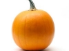 pumpkin1